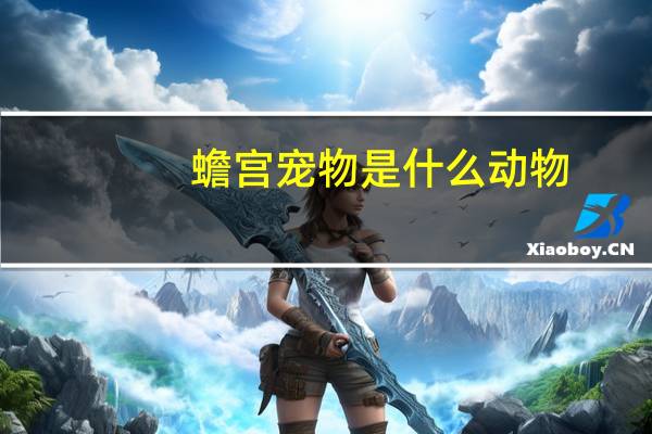 蟾宫宠物是什么动物