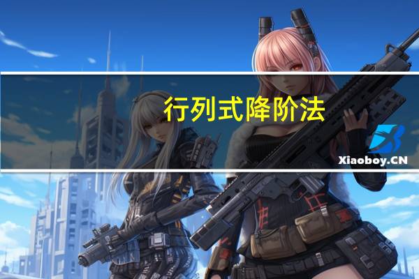 行列式降阶法