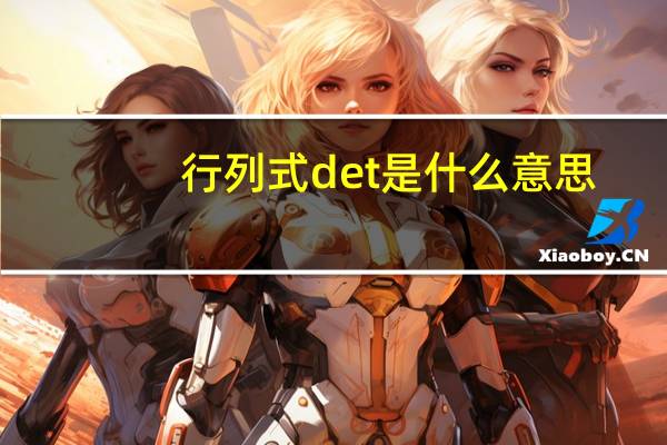 行列式det是什么意思