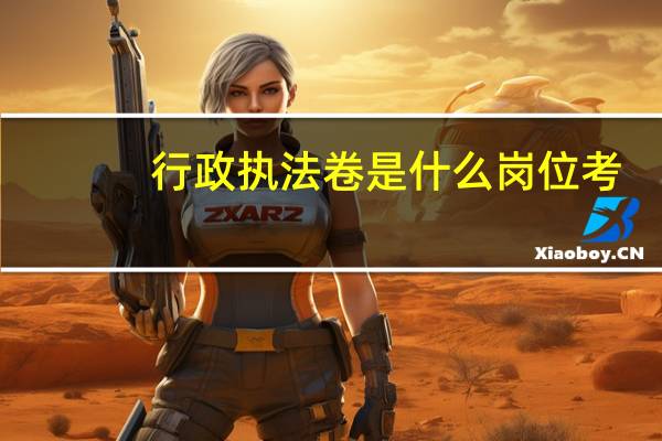 行政执法卷是什么岗位考