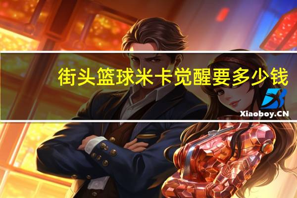 街头篮球米卡觉醒要多少钱(街头篮球米卡能力)