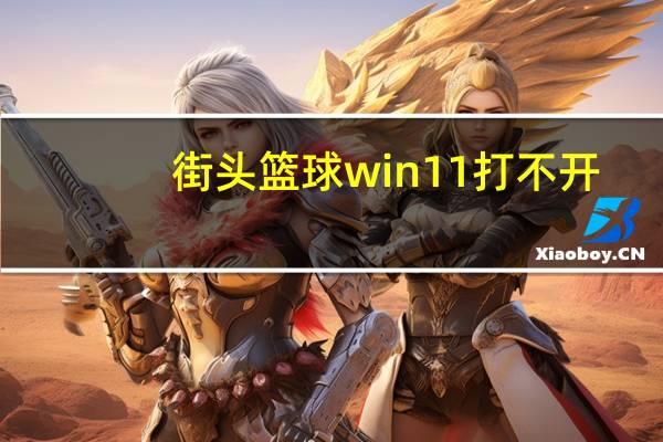 街头篮球win11打不开（街头篮球官方网站打不开）