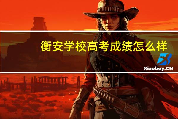 衡安学校高考成绩怎么样