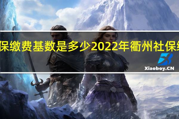 衢州社保缴费基数是多少 2022年衢州社保缴费比例一览