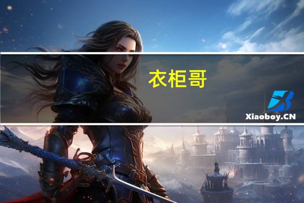 衣柜哥:定制衣柜品牌有哪些品牌排行