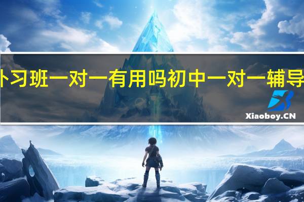 补习班一对一有用吗 初中一对一辅导补习班