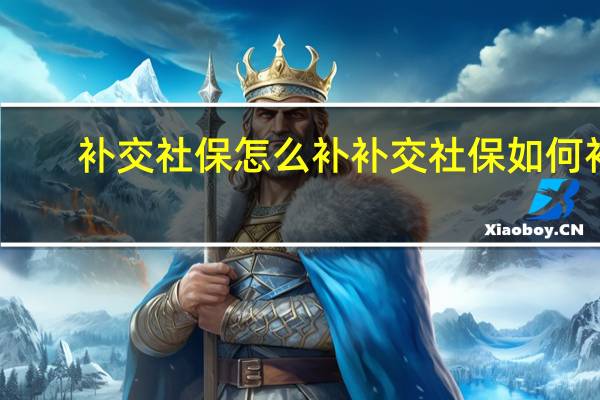 补交社保怎么补 补交社保如何补