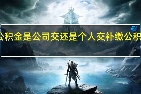 补充公积金是公司交还是个人交　补缴公积金怎么操作