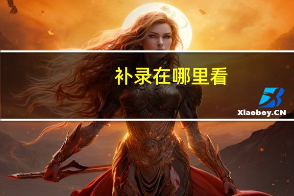 补录在哪里看