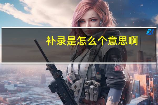 补录是怎么个意思啊