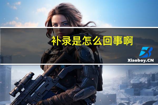 补录是怎么回事啊