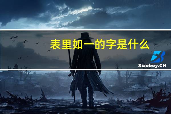 表里如一的字是什么