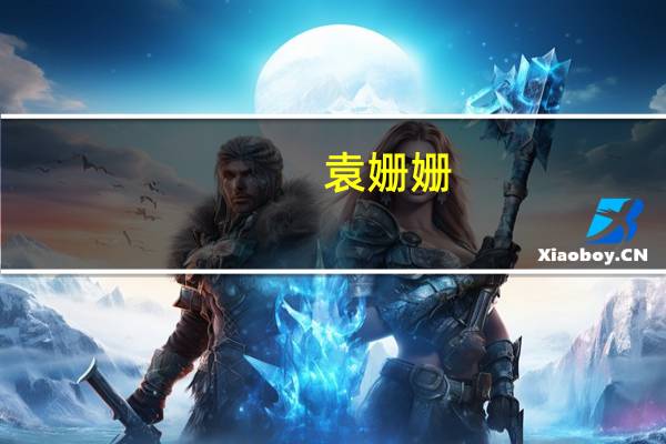 袁姗姗（关于袁姗姗的介绍）