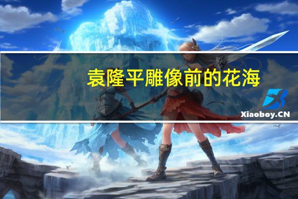 袁隆平雕像前的花海