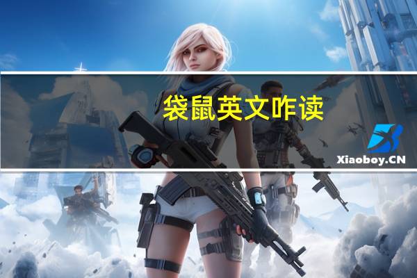 袋鼠英文咋读（袋鼠英文）