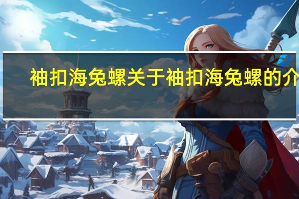 袖扣海兔螺 关于袖扣海兔螺的介绍