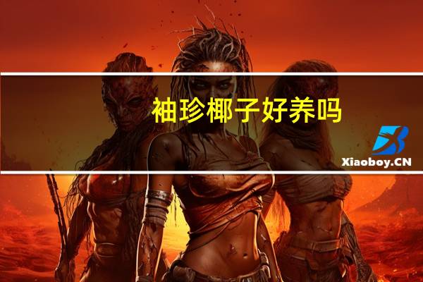 袖珍椰子好养吗