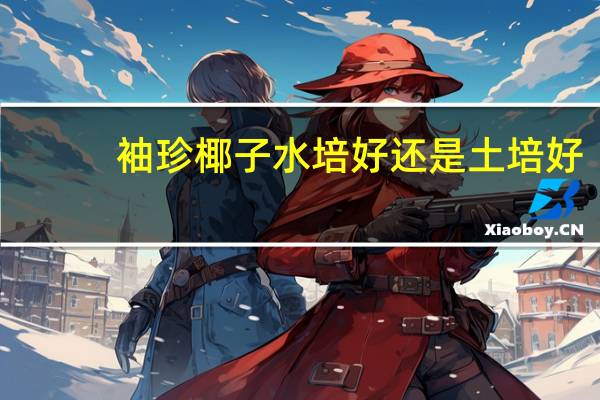 袖珍椰子水培好还是土培好