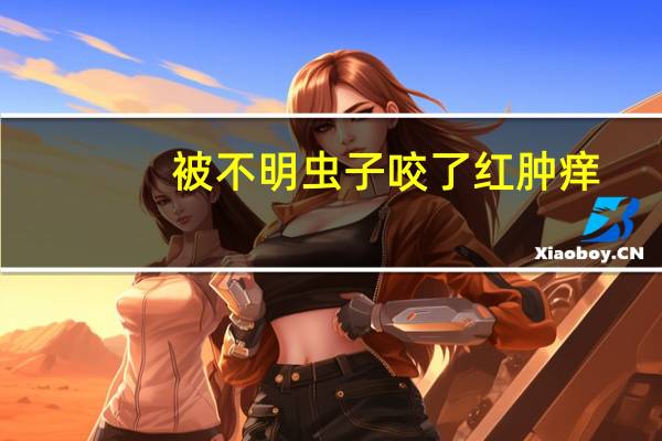被不明虫子咬了红肿痒（被虫子咬了红肿图片）