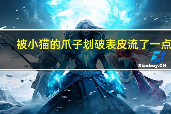 被小猫的爪子划破表皮流了一点血（被小猫的爪子划破表皮怎么办）