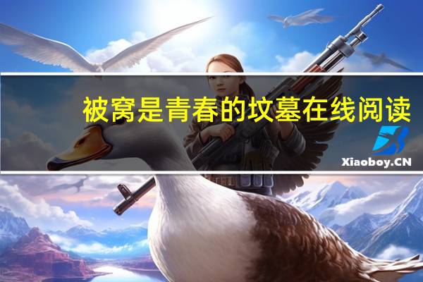 被窝是青春的坟墓在线阅读（被窝是青春的坟墓简介）