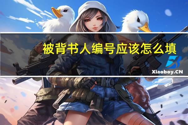 被背书人编号应该怎么填（被背书人）