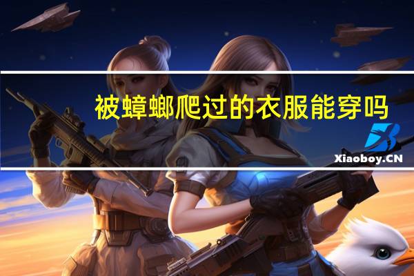 被蟑螂爬过的衣服能穿吗