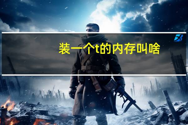 装一个t的内存叫啥