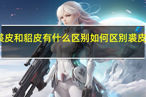 裘皮和貂皮有什么区别 如何区别裘皮和貂皮