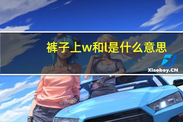 裤子上w和l是什么意思