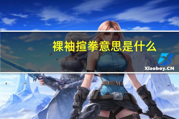裸袖揎拳意思是什么