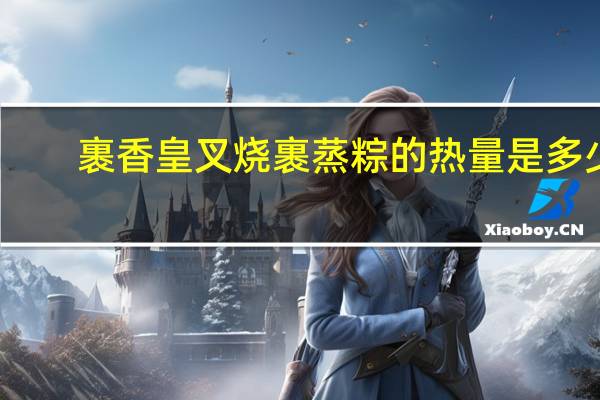 裹香皇 叉烧裹蒸粽的热量是多少