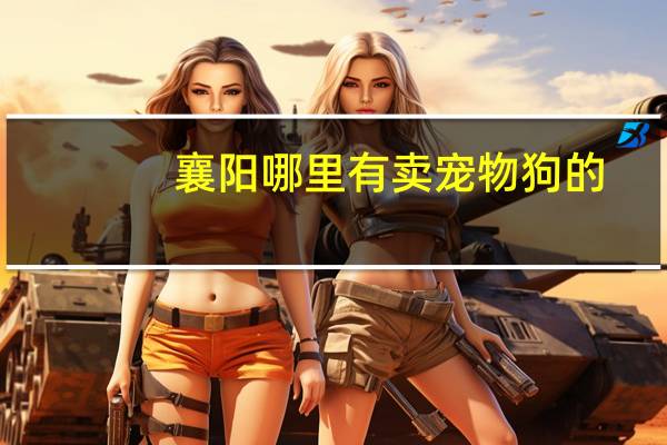 襄阳哪里有卖宠物狗的