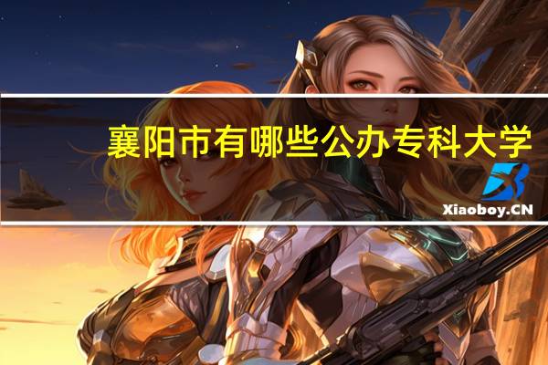 襄阳市有哪些公办专科大学