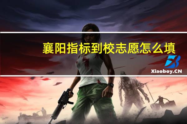 襄阳指标到校志愿怎么填