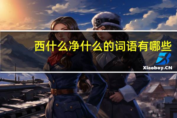 西什么净什么的词语有哪些?