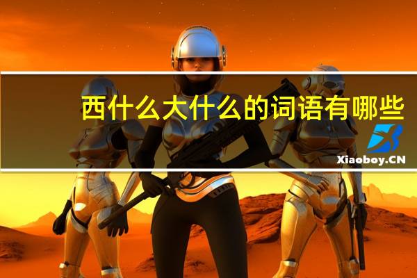 西什么大什么的词语有哪些?