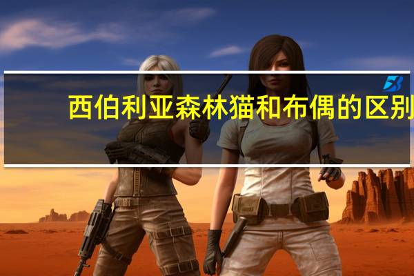 西伯利亚森林猫和布偶的区别