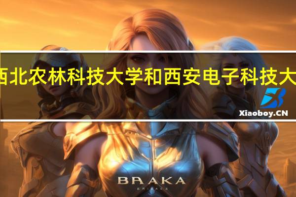 西北农林科技大学和西安电子科技大学相比，一个文科生选哪个好