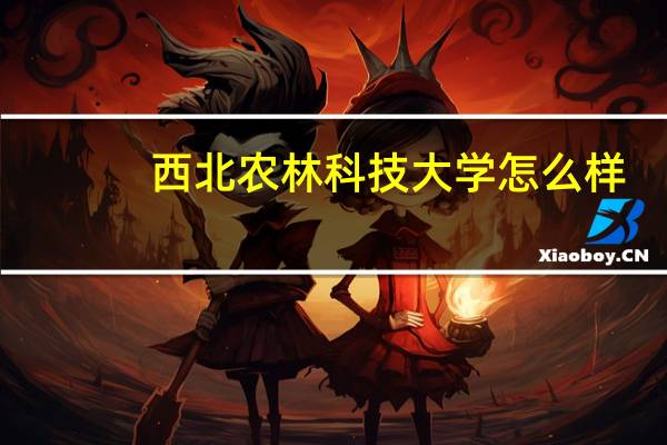 西北农林科技大学怎么样