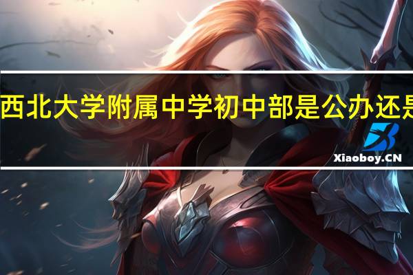 西北大学附属中学初中部是公办还是民办