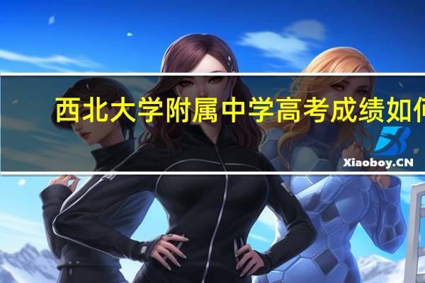 西北大学附属中学高考成绩如何