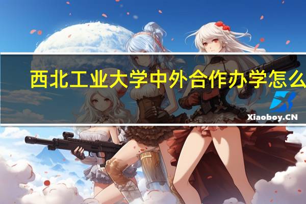 西北工业大学中外合作办学怎么样