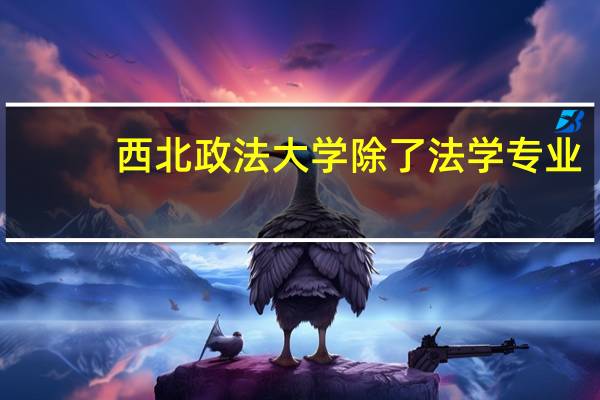 西北政法大学除了法学专业，哪些专业比较好