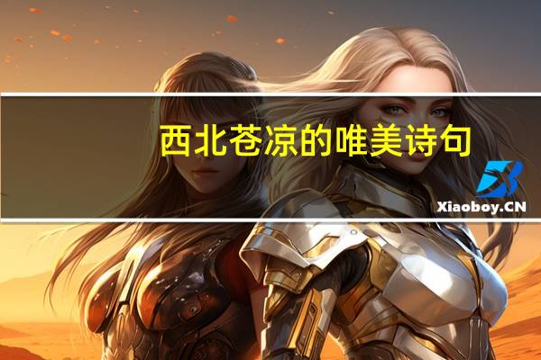 西北苍凉的唯美诗句