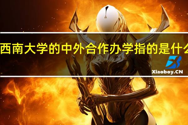 西南大学的中外合作办学指的是什么意思