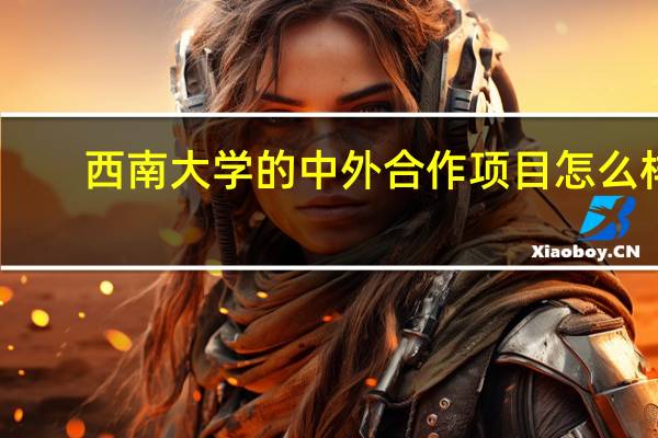 西南大学的中外合作项目怎么样