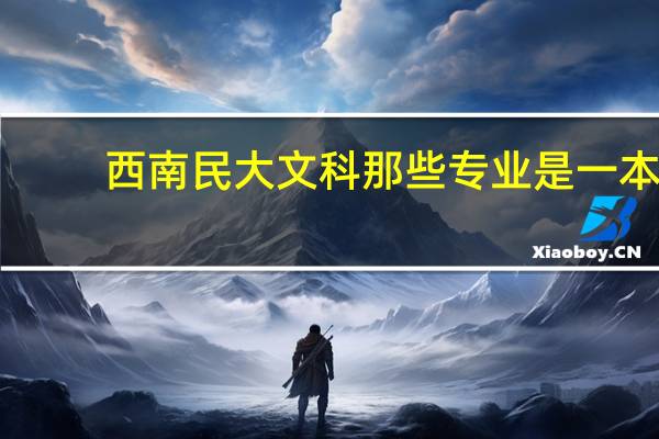 西南民大文科那些专业是一本
