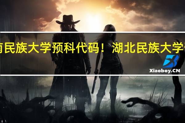西南民族大学预科代码！湖北民族大学预科代码！