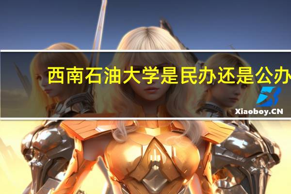 西南石油大学是民办还是公办